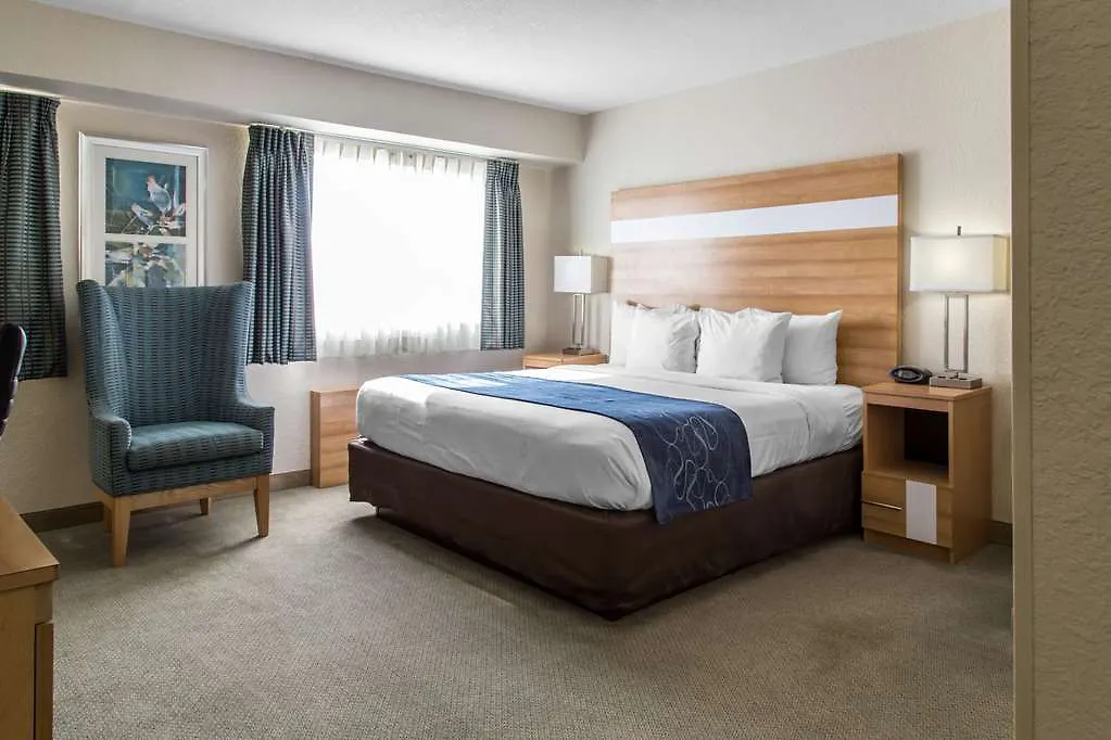 Hampton By Hilton Grand Cayman Seven Mile Beach George Town Hotell